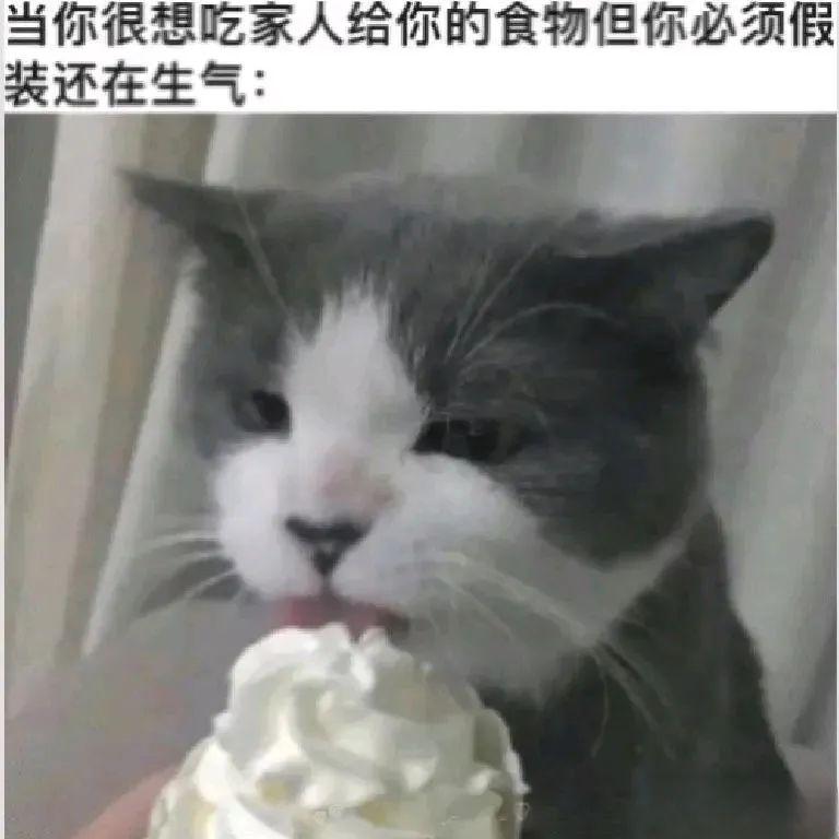 每日meme