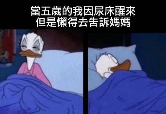 每日meme