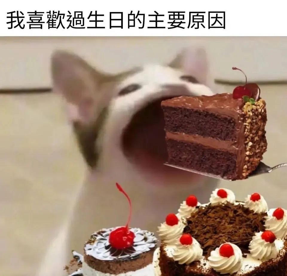 每日meme
