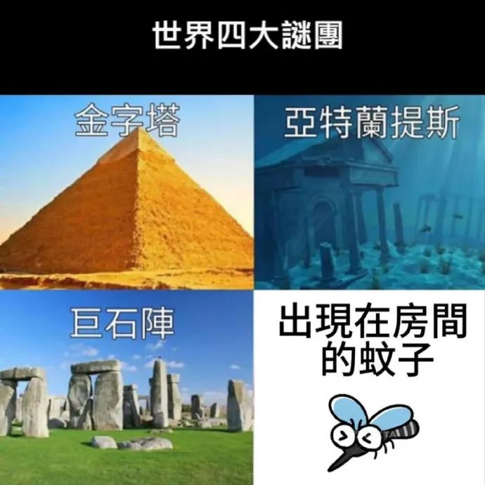 每日meme