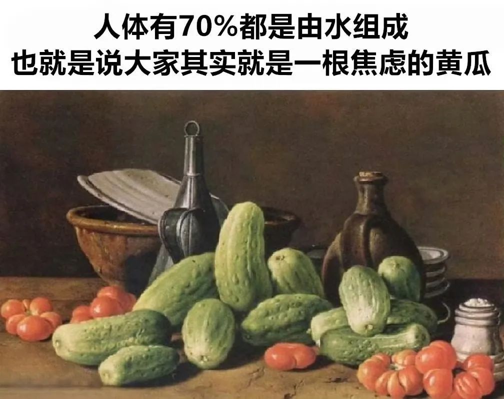 每日meme