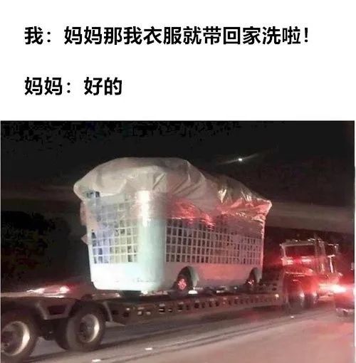每日meme