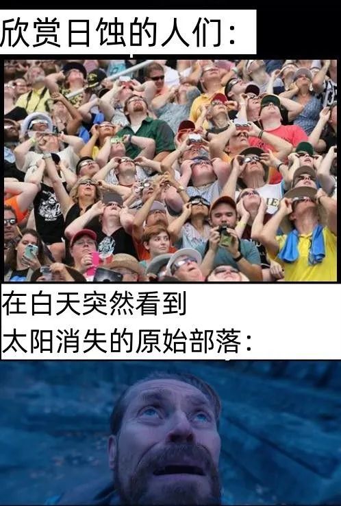 每日meme