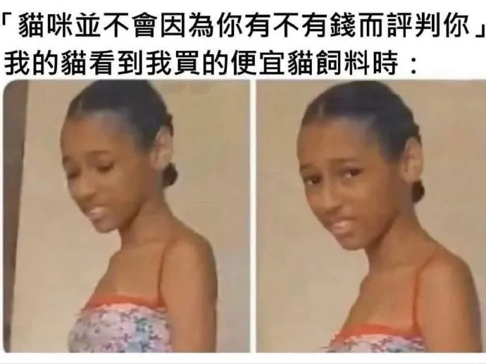每日meme