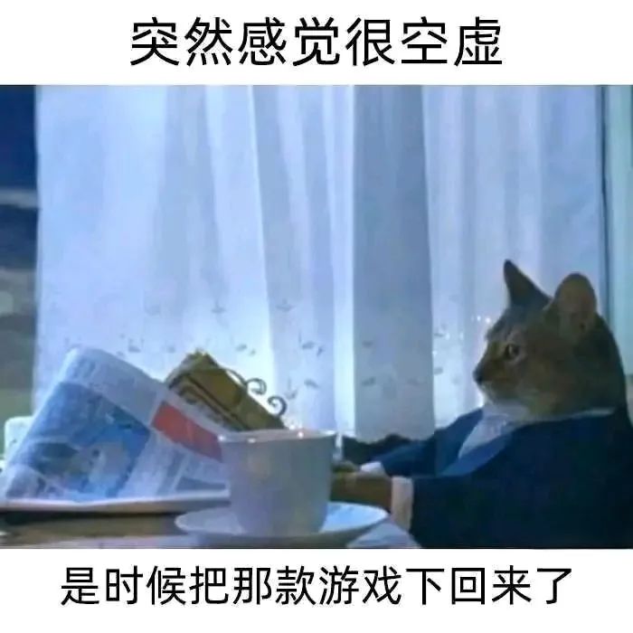 每日meme