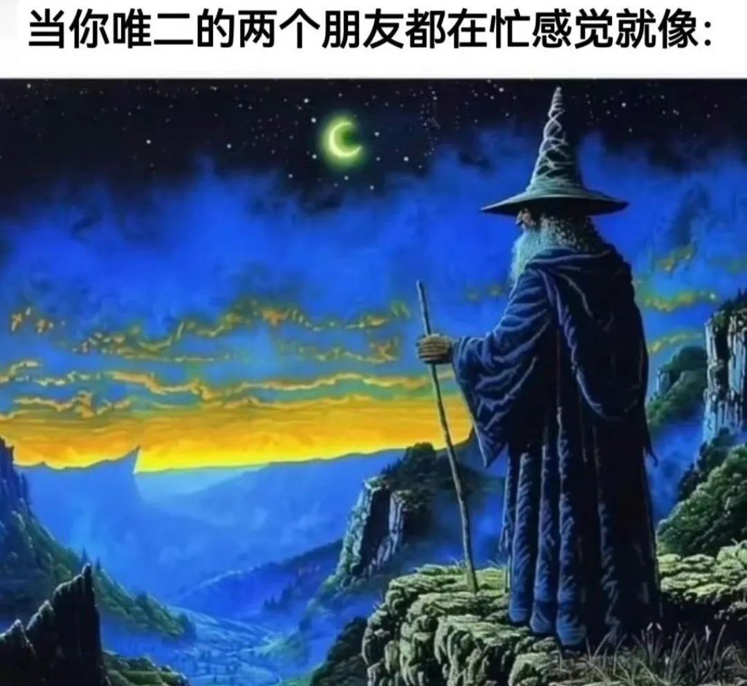 每日meme