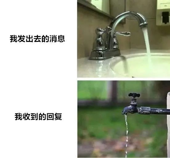 每日meme