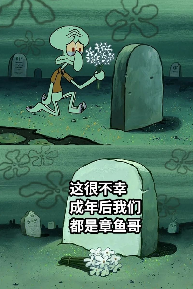 每日meme