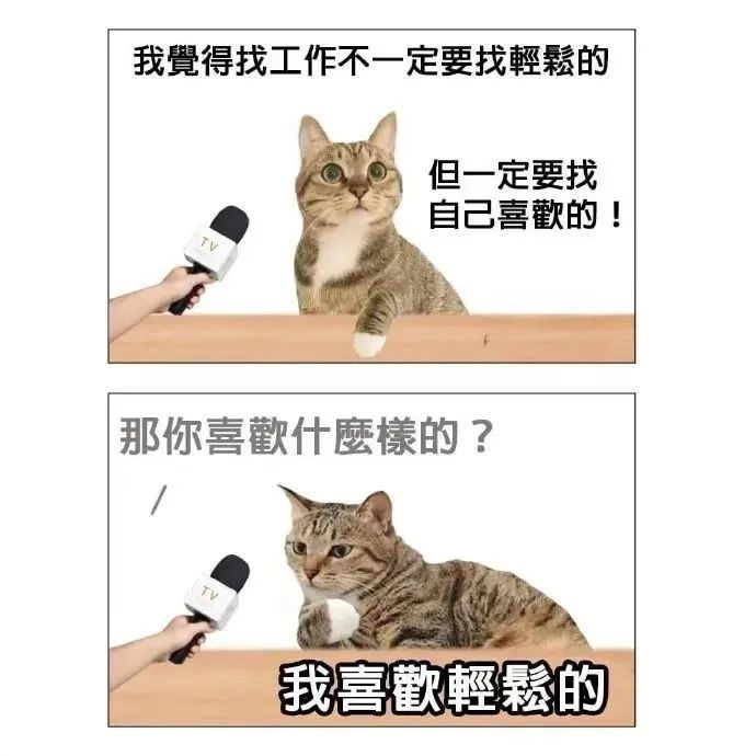 每日meme