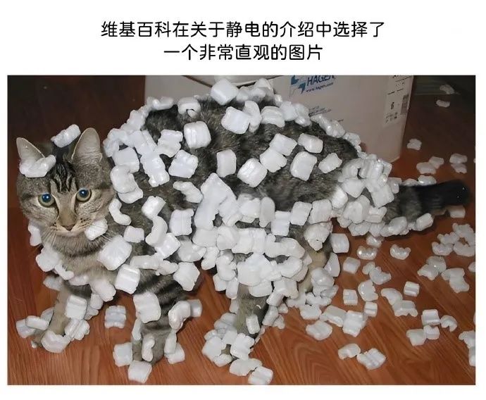每日meme