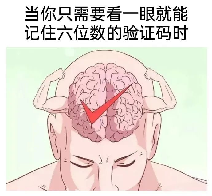每日meme