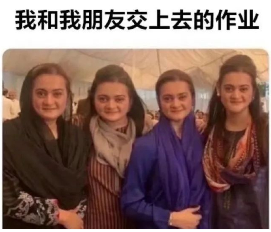 每日meme