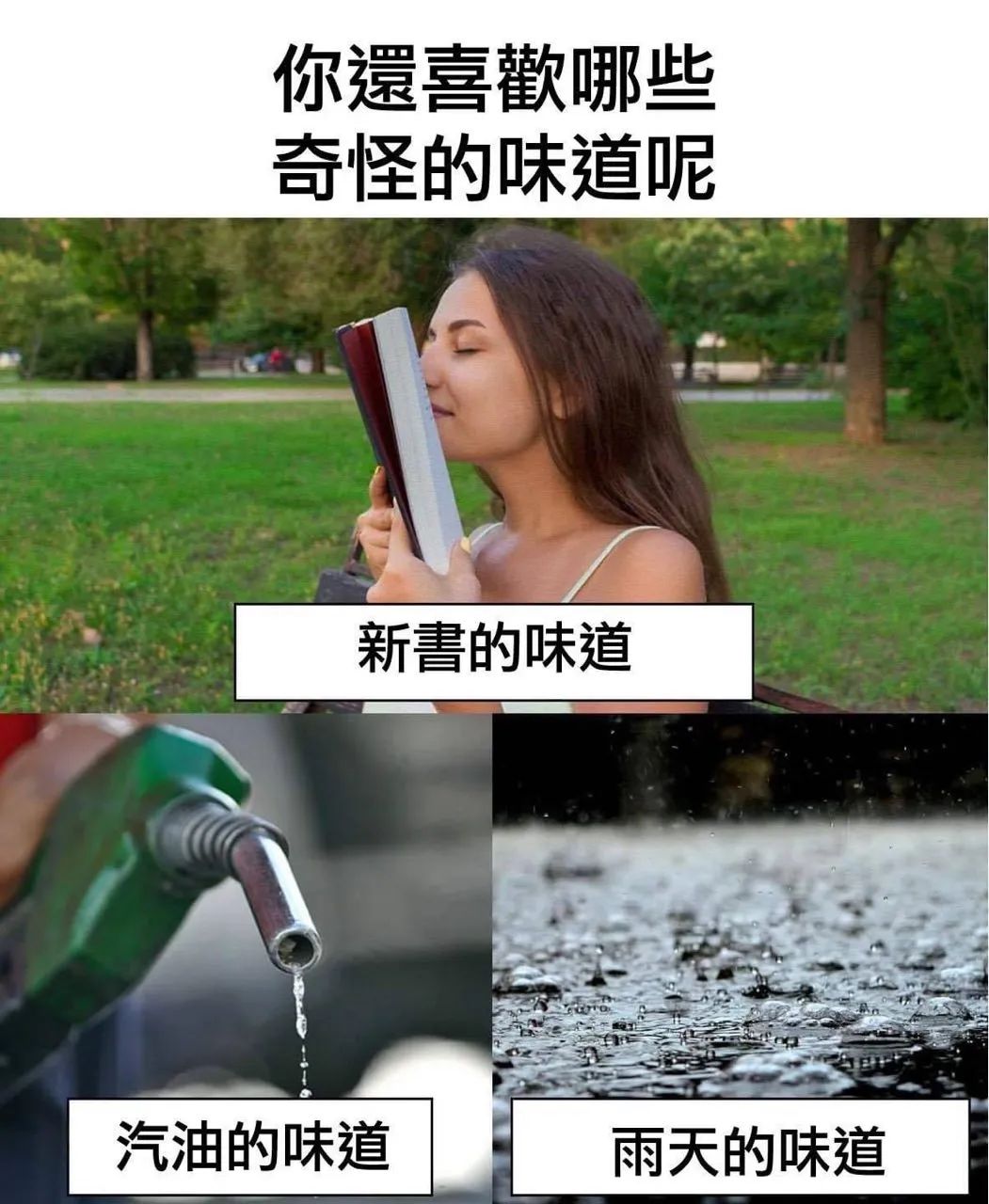 每日meme