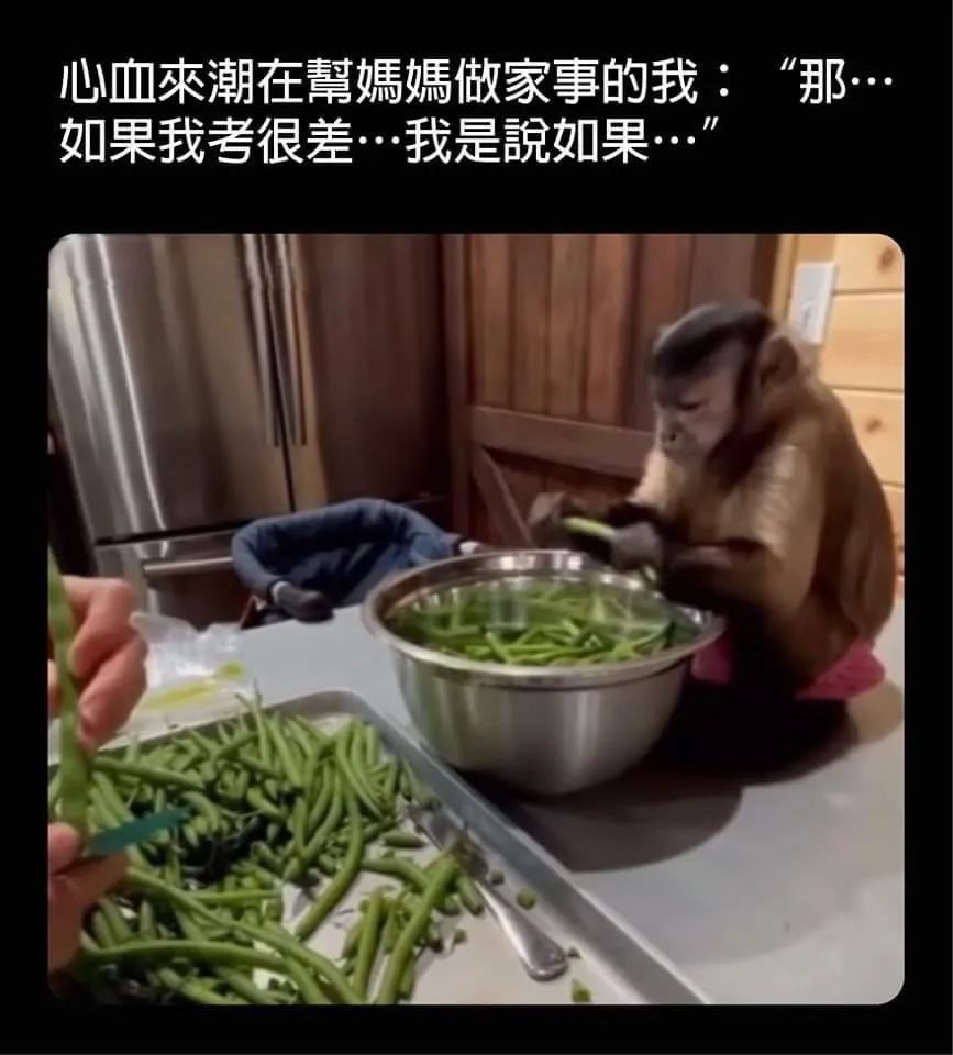 每日meme