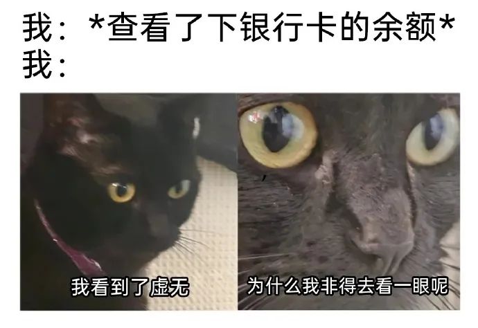 每日meme