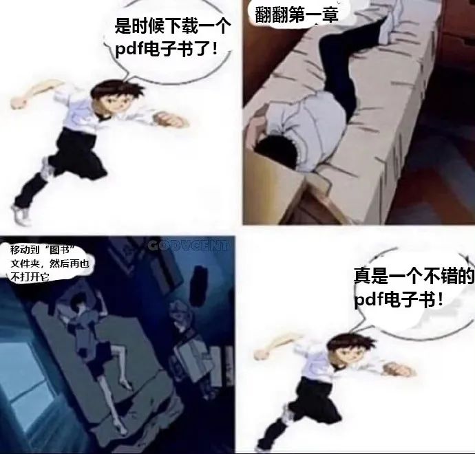 每日meme
