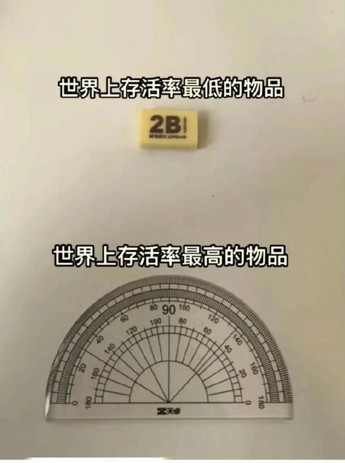 每日meme