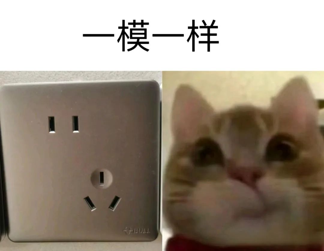 每日meme