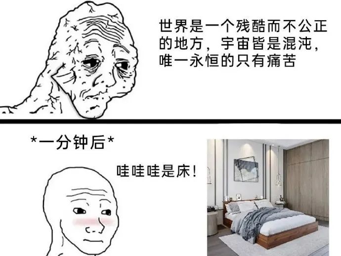 每日meme