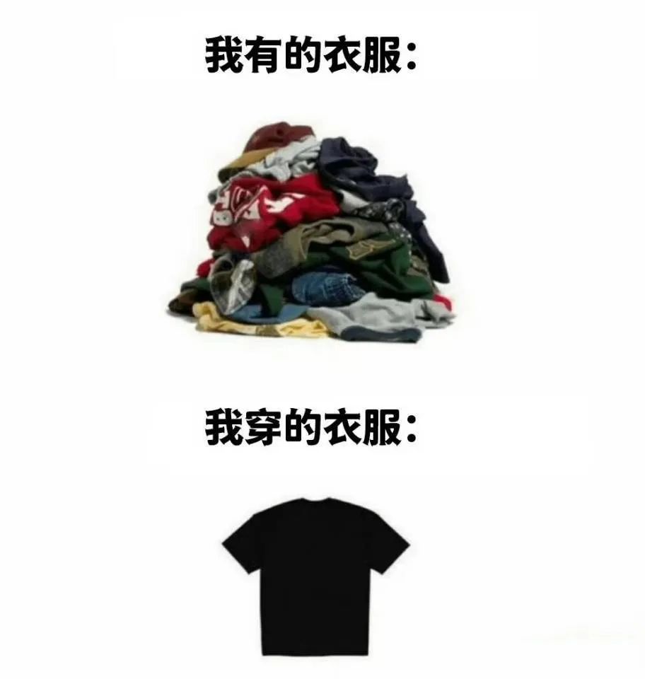 每日meme