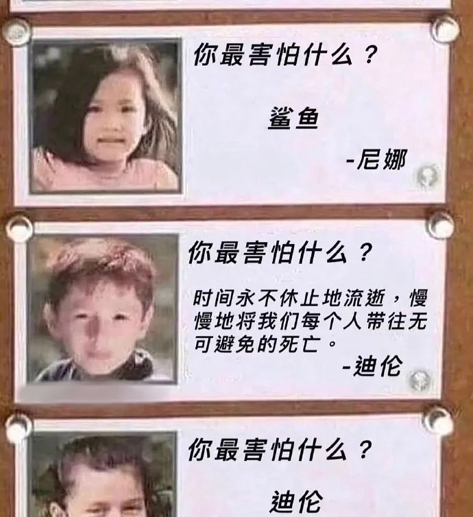 每日meme