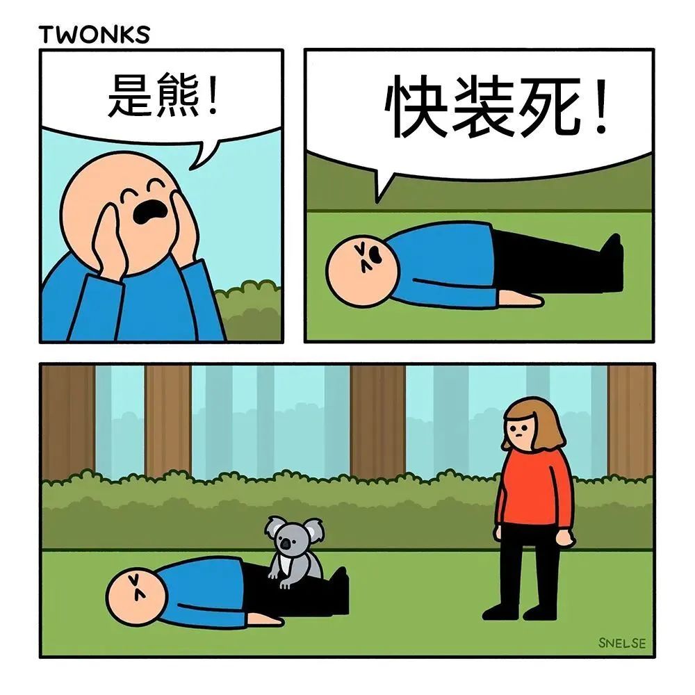 每日meme