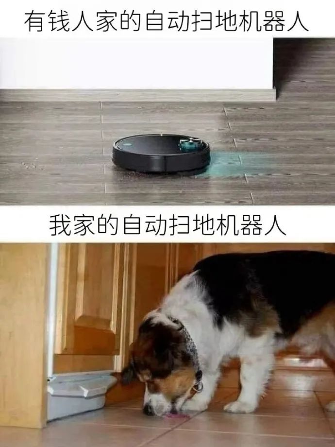 每日meme