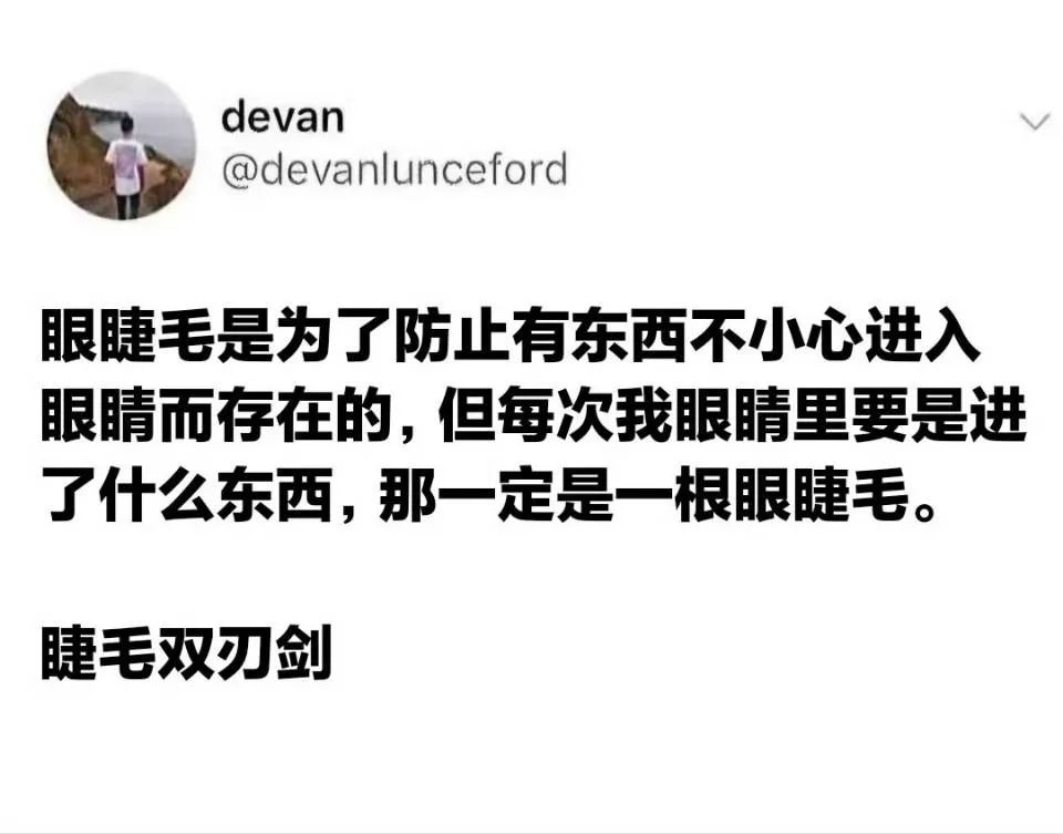 每日meme