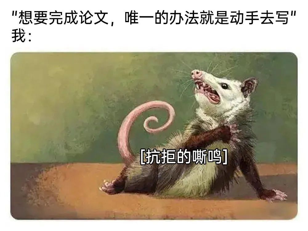 每日meme