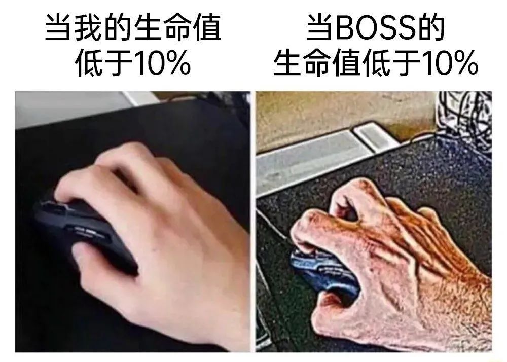 每日meme