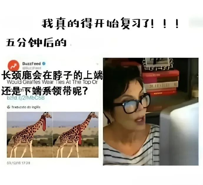每日meme