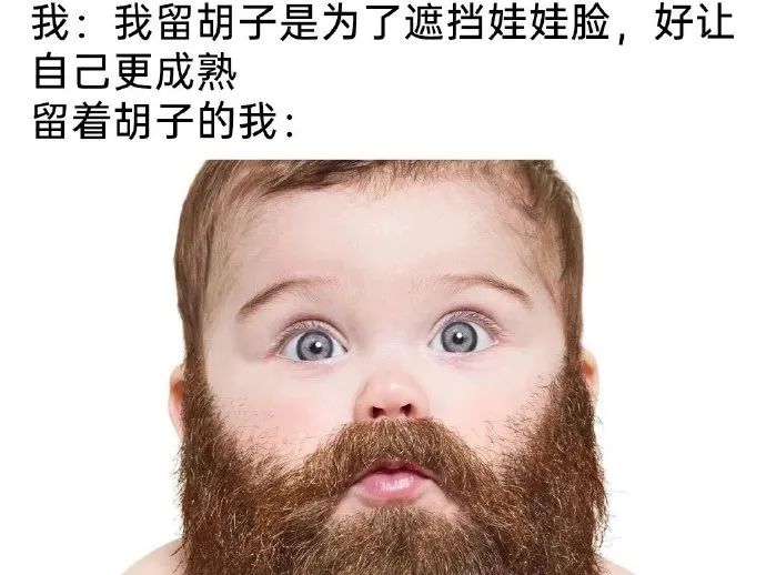 每日meme
