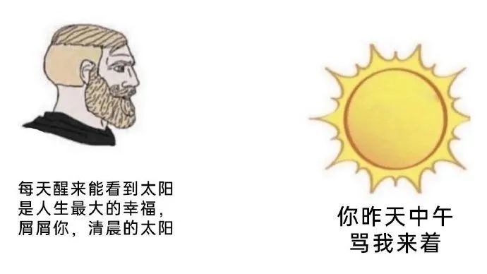 每日meme