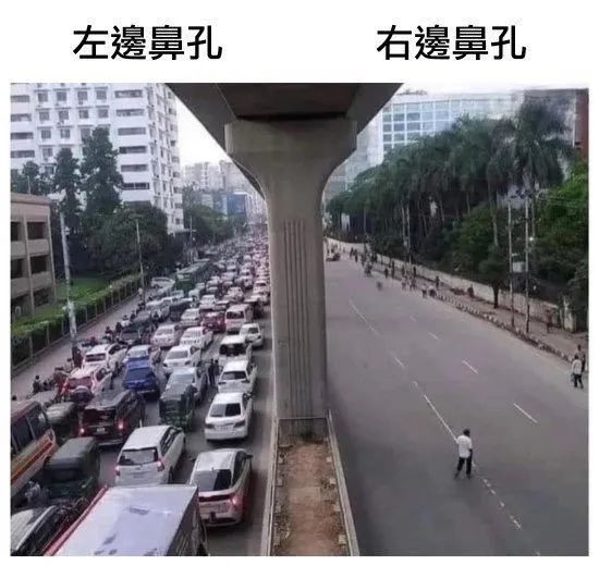 每日meme
