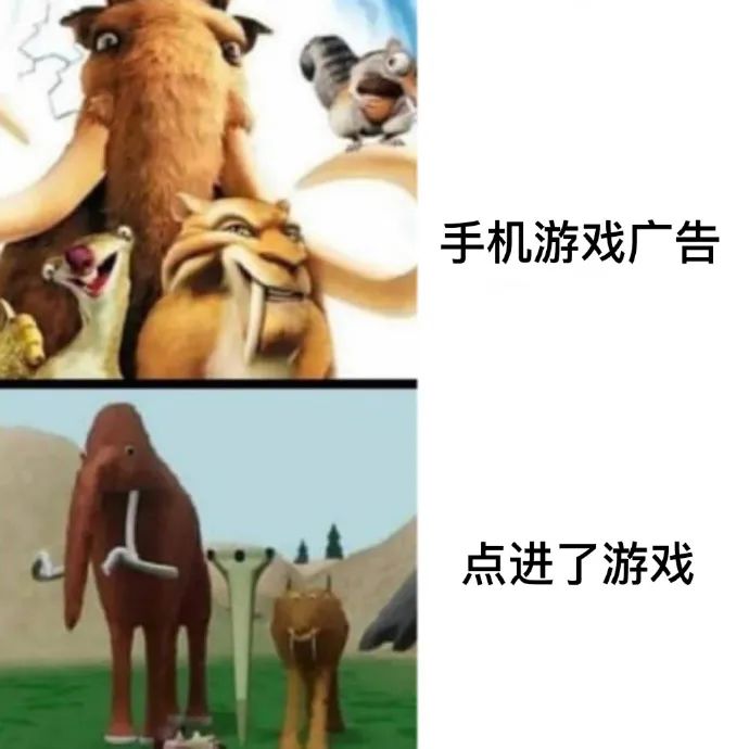 每日meme