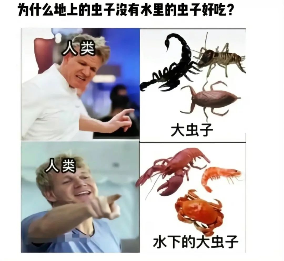 每日meme