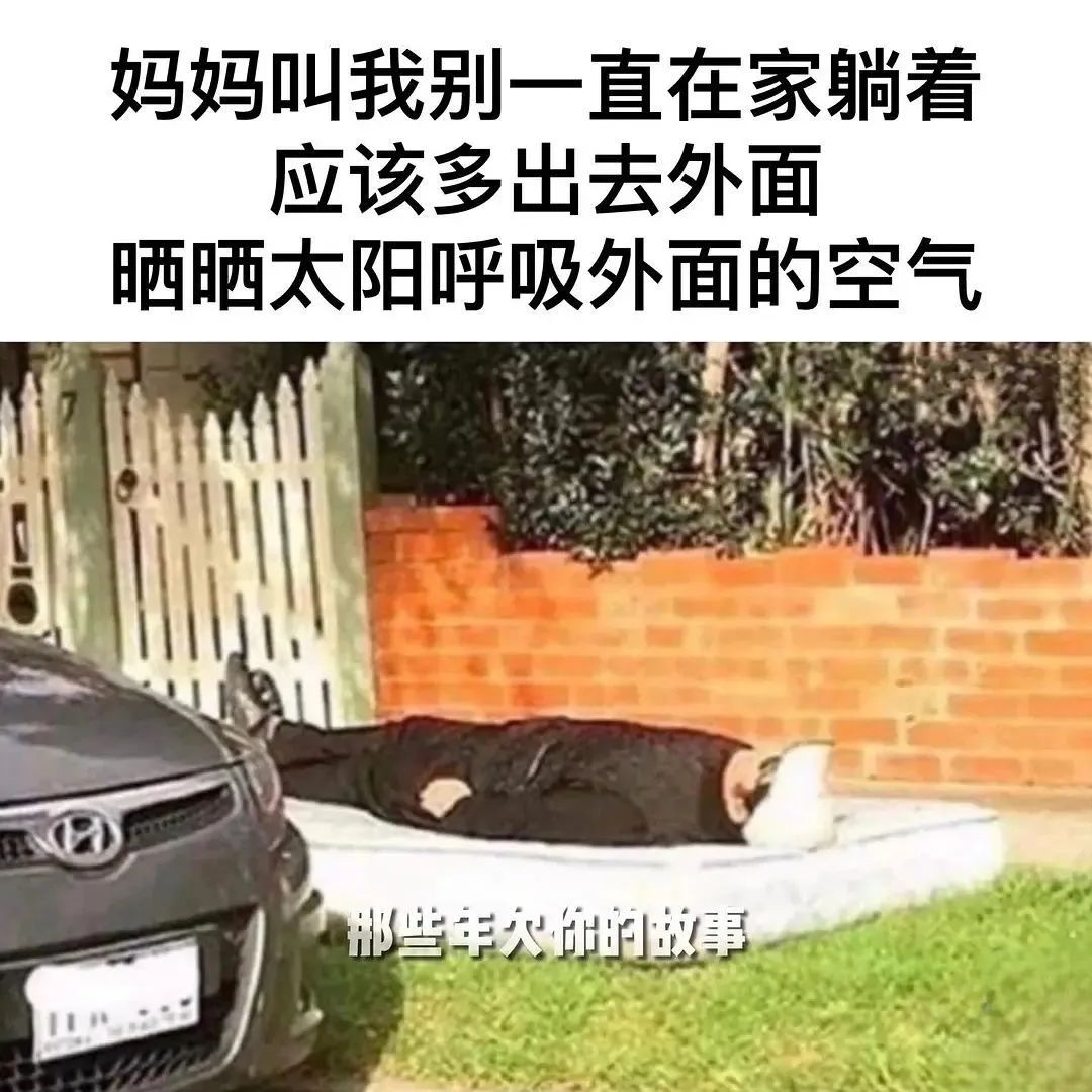 每日meme