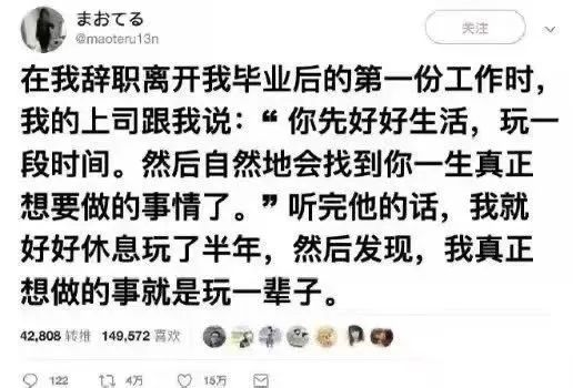 每日meme