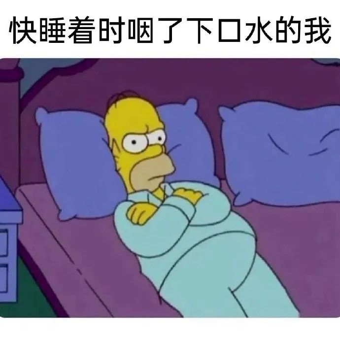 每日meme