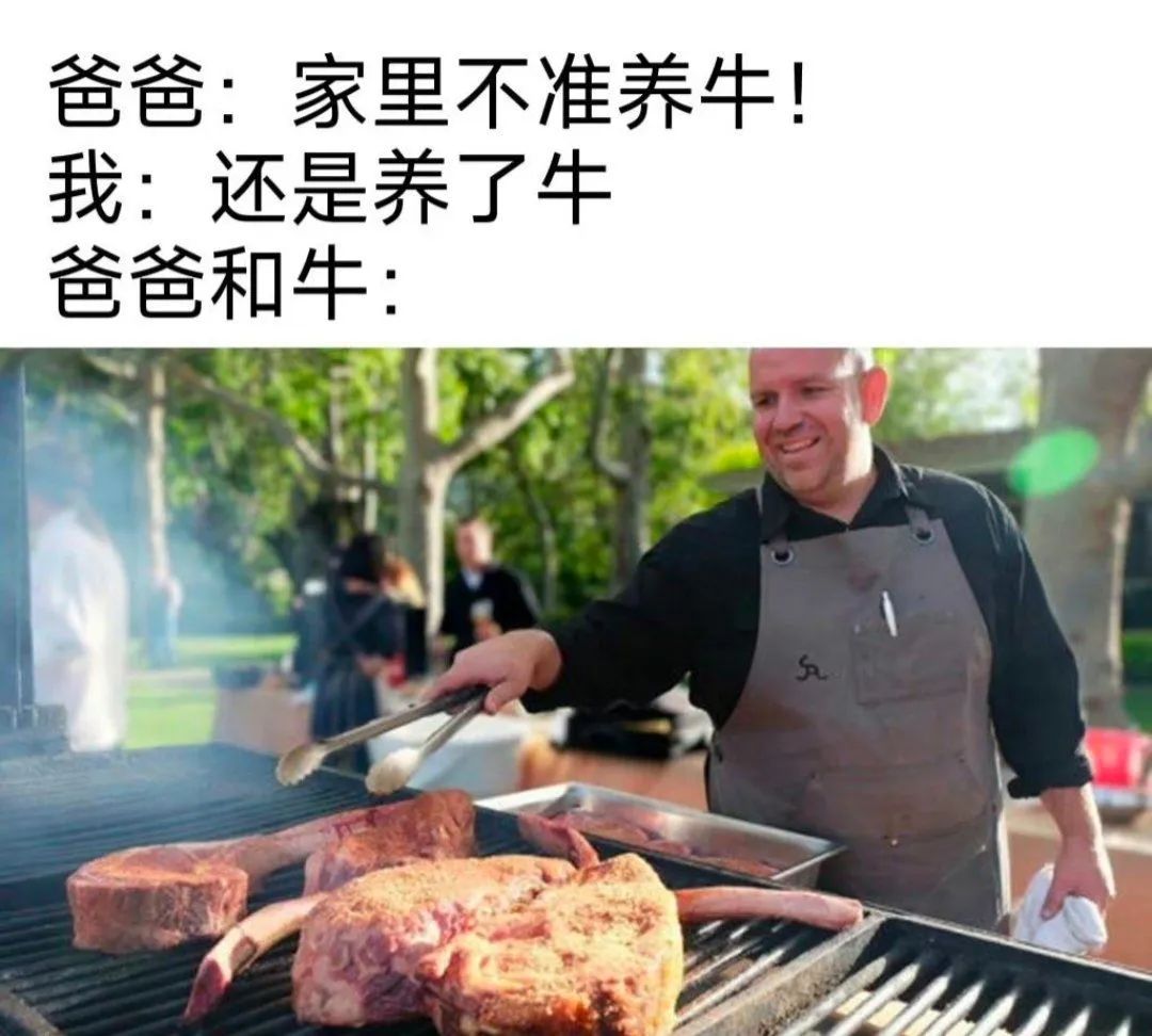 每日meme
