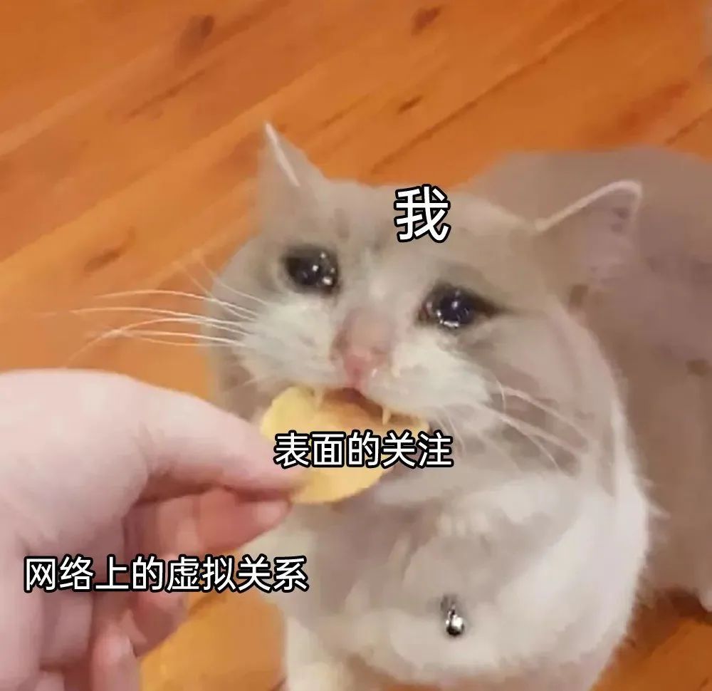 每日meme