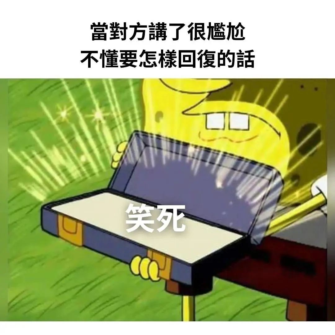 每日meme