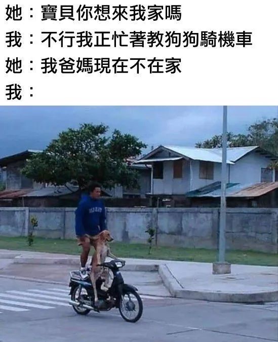每日meme