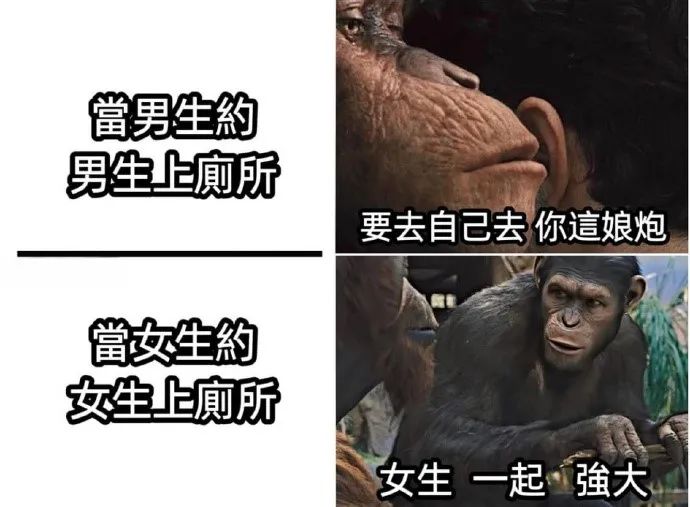 每日meme