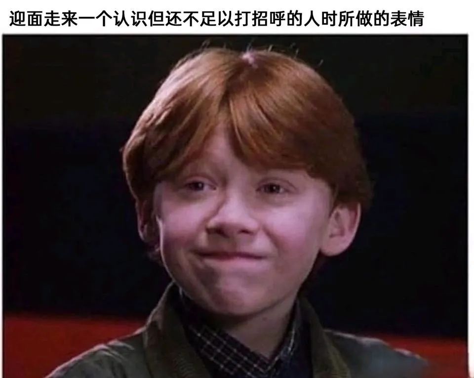 每日meme
