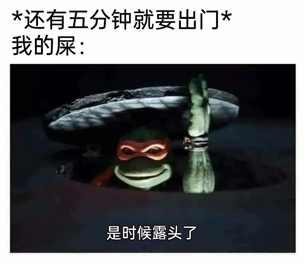 每日meme