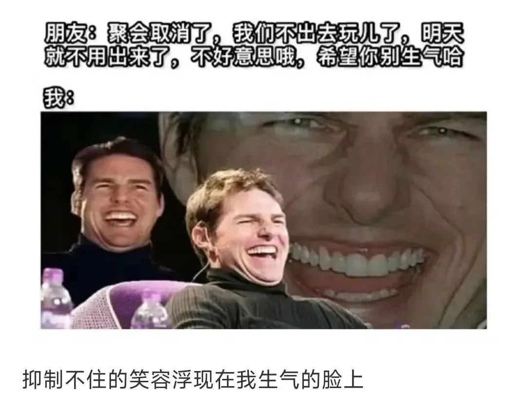 每日meme