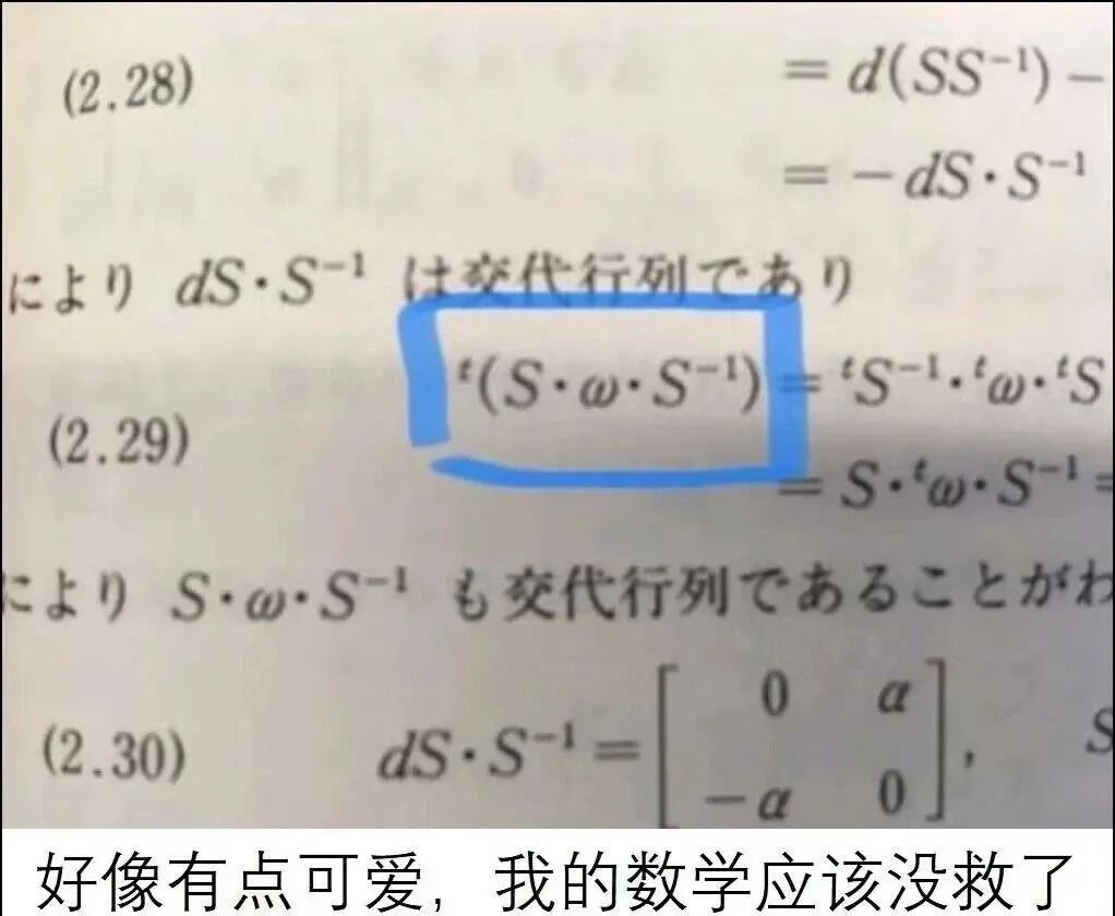 每日meme