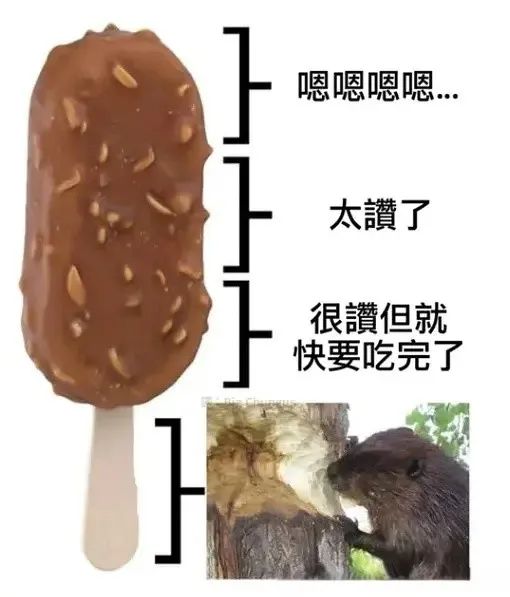 每日meme