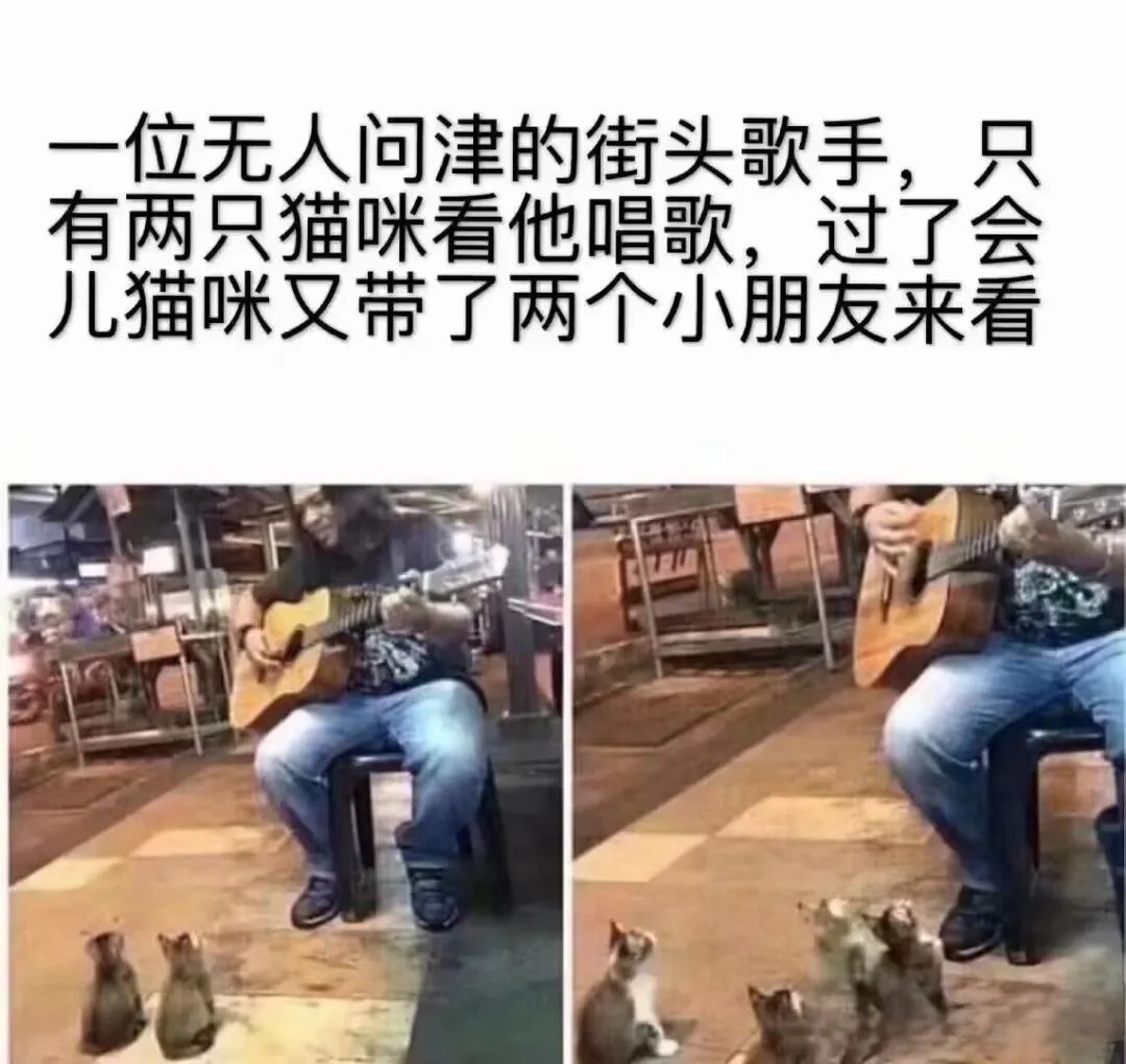 每日meme